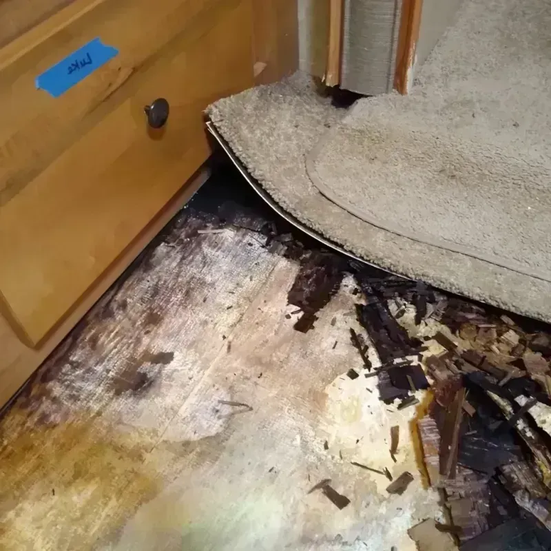 Wood Floor Water Damage in Barry County, MI